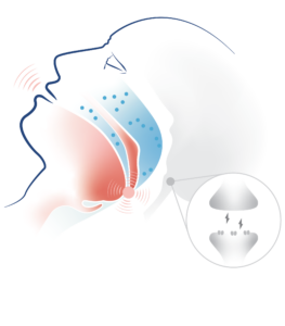 Apnimed - Our Science