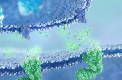 A biological process for oxygenation